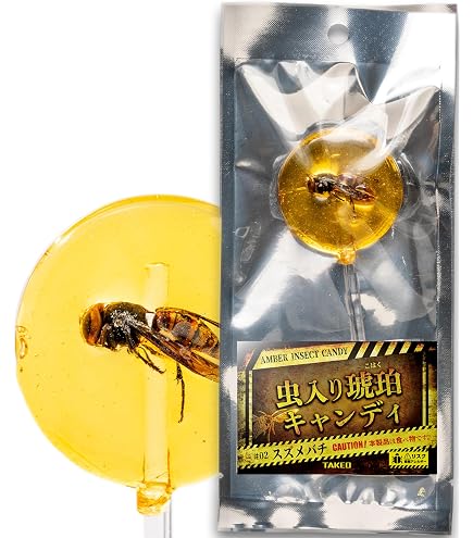天然　琥珀　特大45ｃｔオーバー　虫入り Amazon.co.jp: 昆虫食TAKEO 虫入り琥珀キャンディ トノサマバッタ 1本